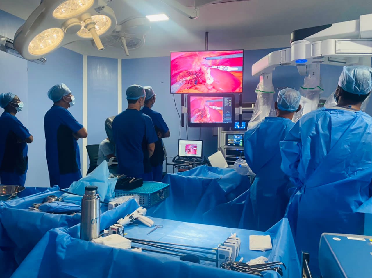 Localization of Liver Transplantation: Achievements and Ongoing Efforts of the National Center for Gastrointestinal and Liver Diseases Over the Past Decade