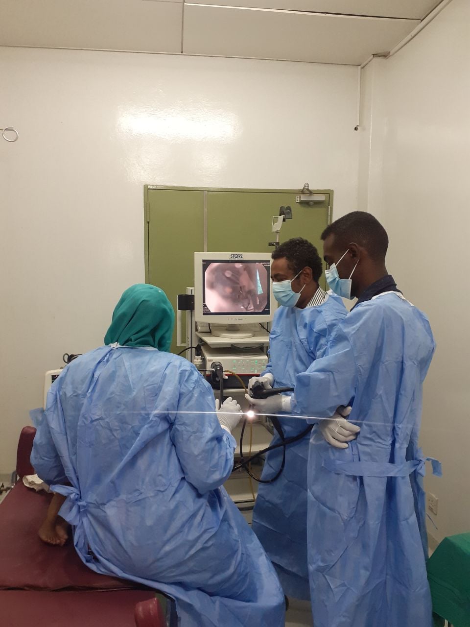 Another Successful Day for the Pediatric Endoscopy Workshop