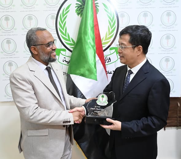A Productive Meeting to Strengthen Sudanese–Chinese Cooperation in the Fields of Health and Training